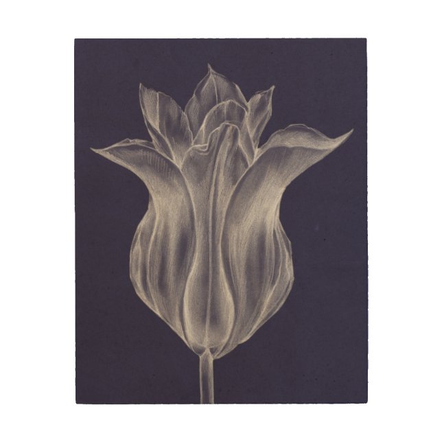 Monochrome Tulip III Wood Wall Decor (Front)