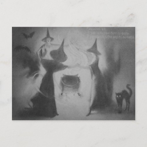 Monochrome Witch Bat Night Cauldron Black Cat Postcard