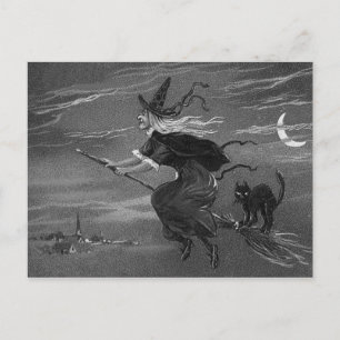 Monochrome Witch Broom Black Cat Postcard