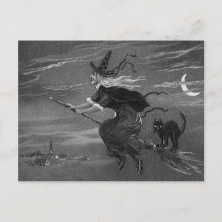 Monochrome Witch Broom Black Cat Postcard