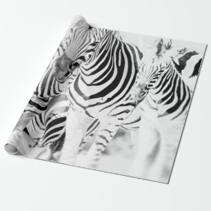 monochrome zebra group portrait, South African Nat Wrapping Paper
