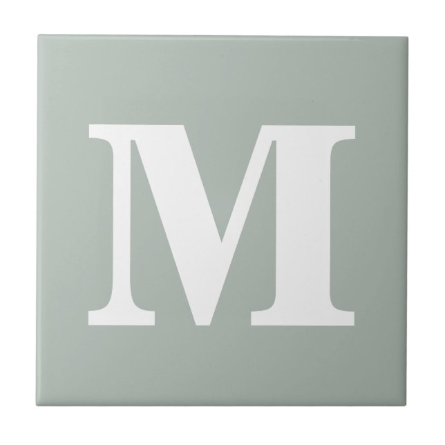 Monogram Ash Grey Contemporary Complementary Color Ceramic Tile (Front)