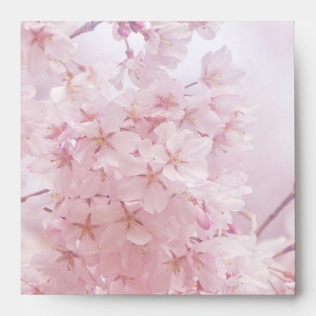Monogram Bridesmaid Pale Pink Cherry Blossoms Envelope (Front)