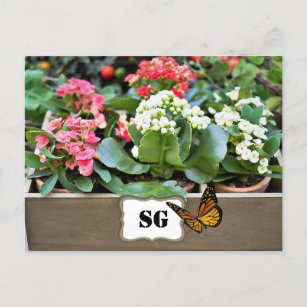 Monogram Container Flower Garden Postcard