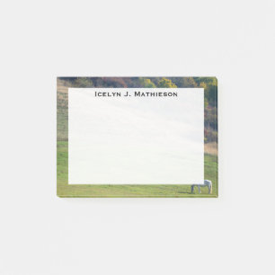 Monogram Gray Horse in a Green Field Post-it Notes