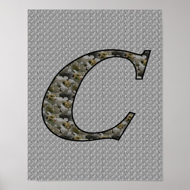 Monogram Initial C Hydrangea Flowers Poster (Front)