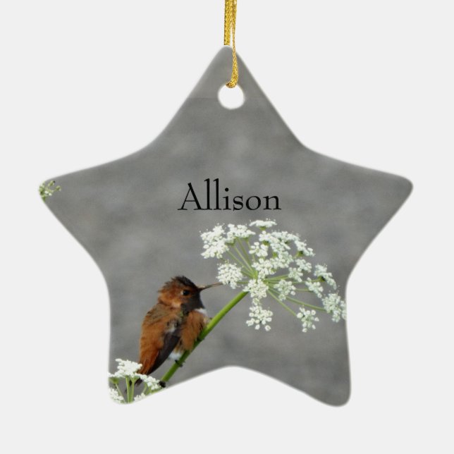 Monogram Name Cute Hummingbird bird Ceramic Ornament (Back)