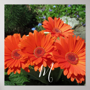 Monogram Orange Floral Photography Poster