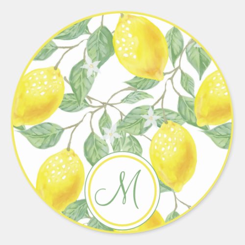 Monogram Vintage Lemon Fruits Leaves and Flowers Classic Round Sticker