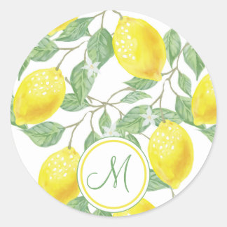 Monogram Vintage Lemon Fruits Leaves and Flowers Classic Round Sticker