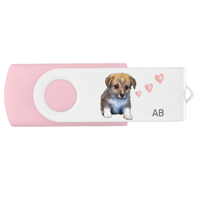 Monogram with Cute Corgi Puppy Dog & Hearts Flash Drive (Front)