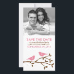 Monogrammed Love Birds Save the Date Photocards<br><div class="desc">Adorable couple of birds perched on a tree branch. 
 Art by Cocoa Studio</div>
