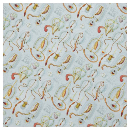 Monographie der Medusen (1879) Ernst Haeckel Fabric
