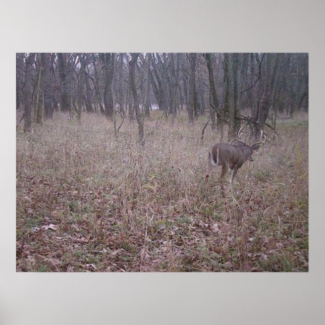 Monster Buck Poster (Front)