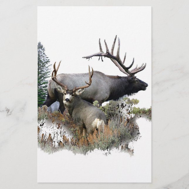 Monster bull trophy buck (Front)