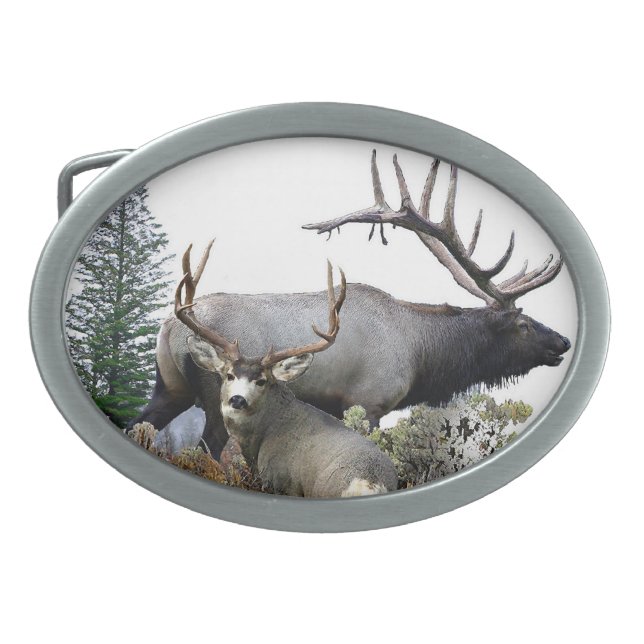 Monster bull trophy buck belt buckle (Front)