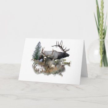 Monster Bull Trophy Buck Card by saltypro at Zazzle
