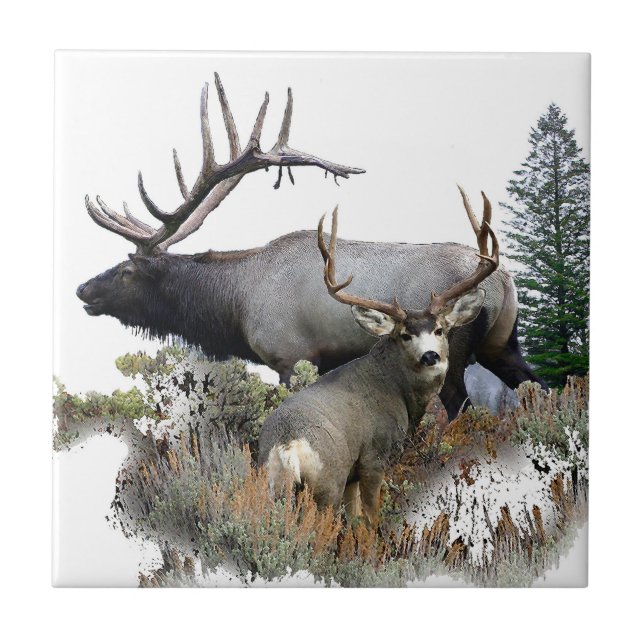Monster bull trophy buck ceramic tile (Front)