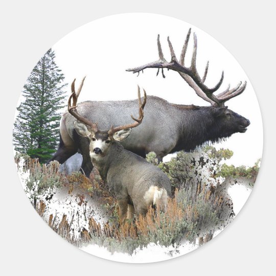 Monster bull trophy buck classic round sticker