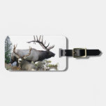 Monster Bull Trophy Buck Luggage Tag at Zazzle