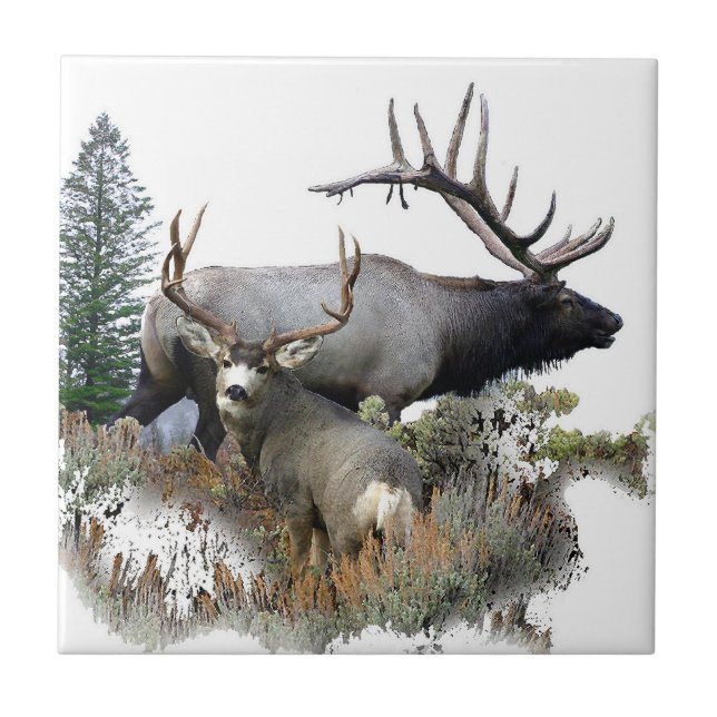 Monster bull trophy buck tile (Front)
