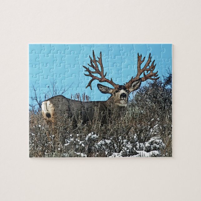 Monster mule deer buck jigsaw puzzle (Horizontal)
