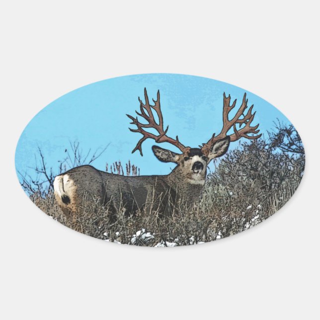 Monster mule deer buck oval sticker (Front)