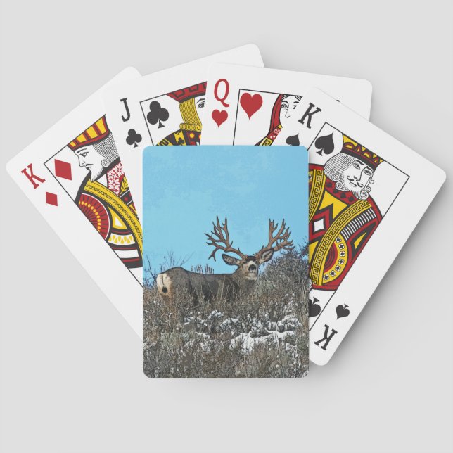 Monster mule deer buck poker cards (Back)