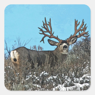 Monster mule deer buck square sticker