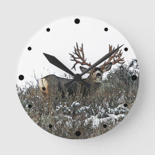 Monster mule of the 2 round clock