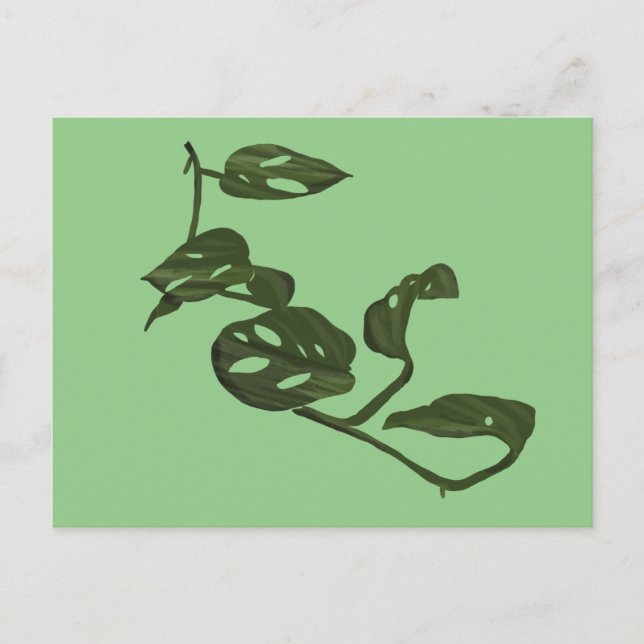 Monstera Adanosii Cheese Plant Illustration Green Postcard (Front)