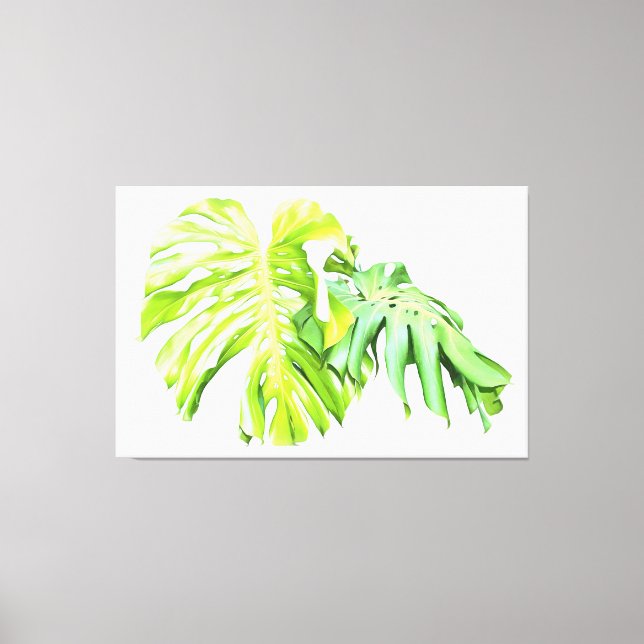 Monstera Artistic Leaf Study  Canvas Print (Front)