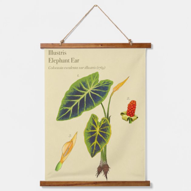 Botanical wall online tapestry