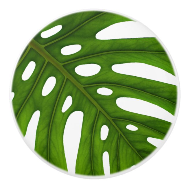 Monstera Leaf Ceramic Knob