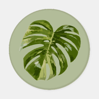 Monstera Leaf Green Kitchen Decor Coaster Set