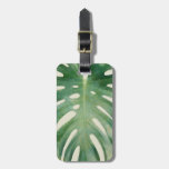 Monstera leaf luggage tag