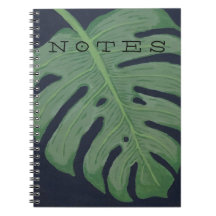 Monstera Leaf