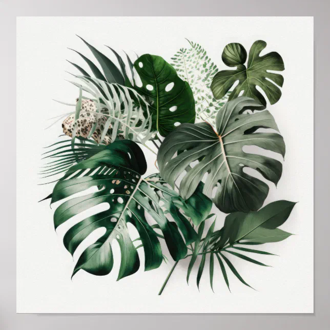 Monstera Leaves Art Print Poster | Zazzle
