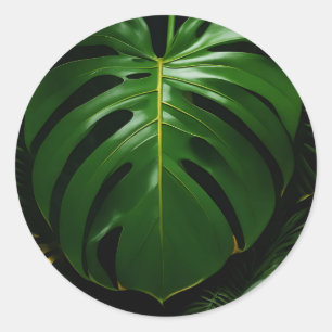 Monstera Leaves Gold Jungle Glamour Classic Round Sticker
