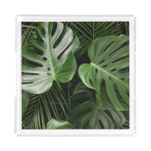 Monstera leaves, luxury tropical layout. acrylic tray