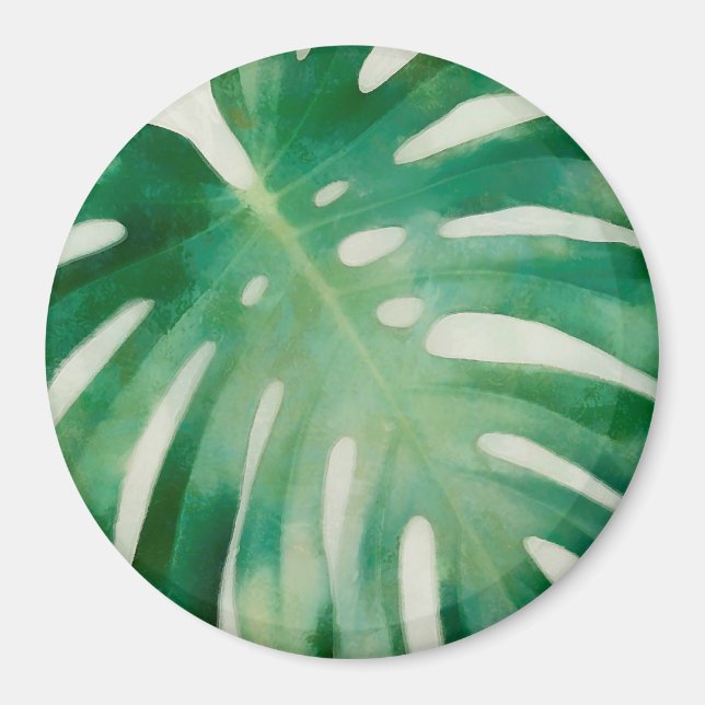 Monstera leaves magnet (Front)