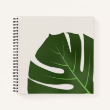 Monstera