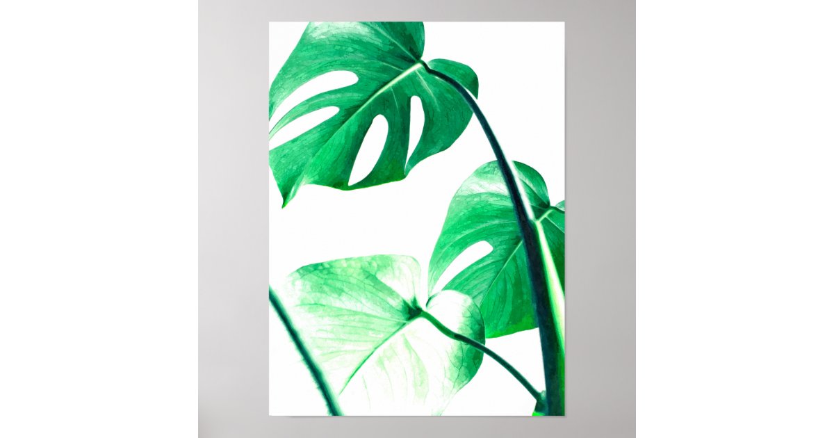Monstera palm leaves tropical modern watercolor poster | Zazzle