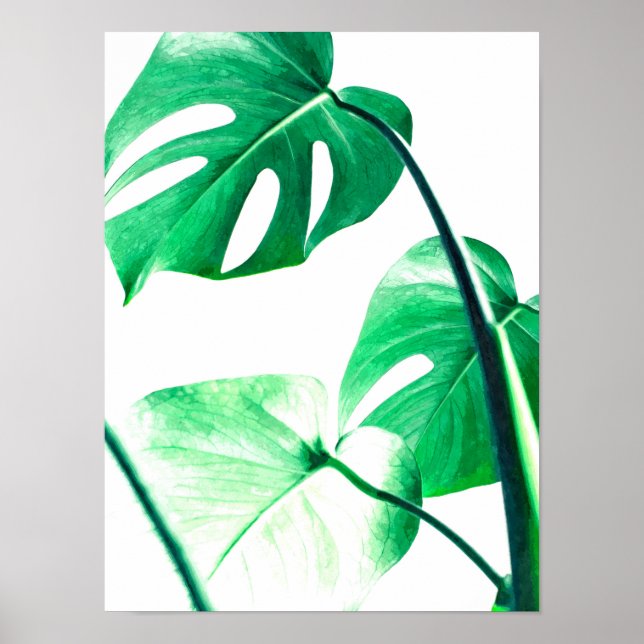 Monstera palm leaves tropical modern watercolor poster (Front)