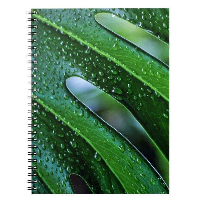 Monstera plant leaf green notebook (Front)