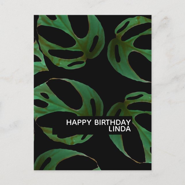 Monstera Plant Pattern Illustration Leaf Birthday  Postcard (Front)