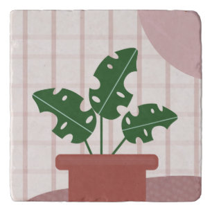 Monstera Plants Terracotta Plaid Background Pink Trivet