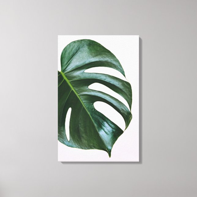 Monstera Tropical Leaf Canvas Print (Front)