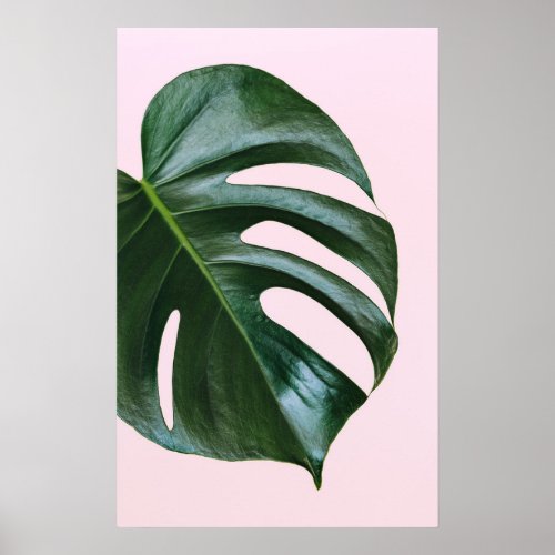 Monstera Tropical Leaf Poster