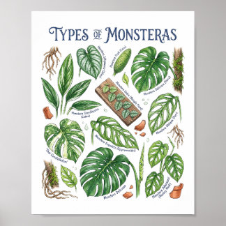 Monsteras Watercolor Tropical Leaf Botanical Art Poster